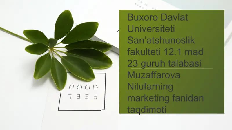 Marketing fanidagi taqdimot