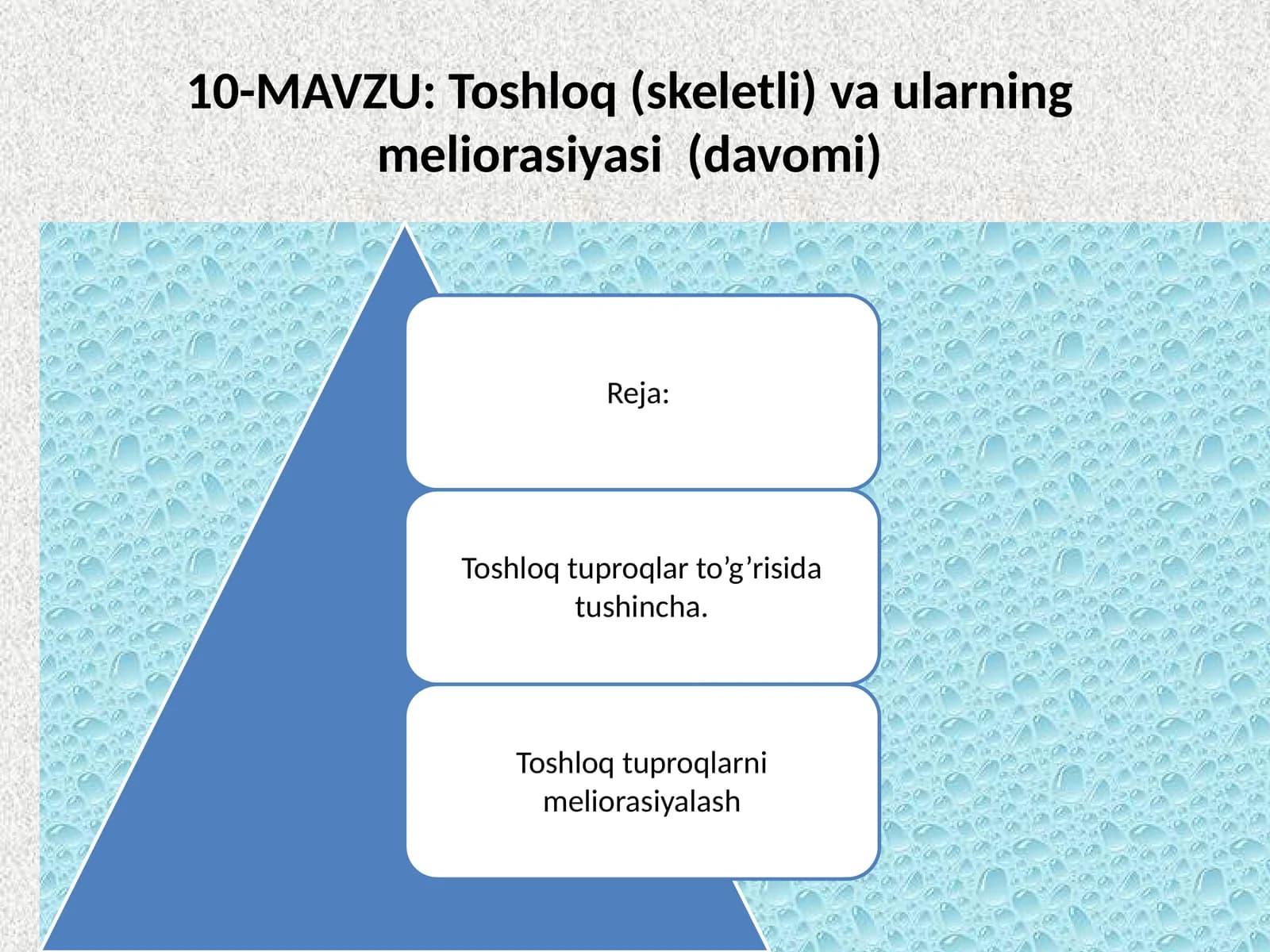 Toshloq(skeletli) va uLarning meliorasiyasi(davomi)