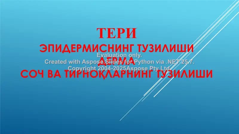 Тери тузилганлиги