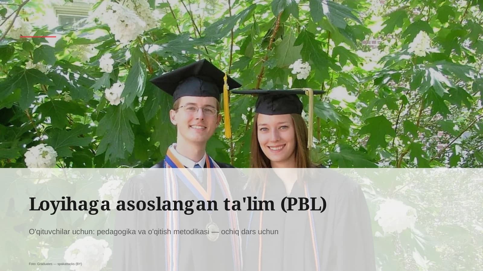 Loyihaga asoslangan ta'lim (PBL)