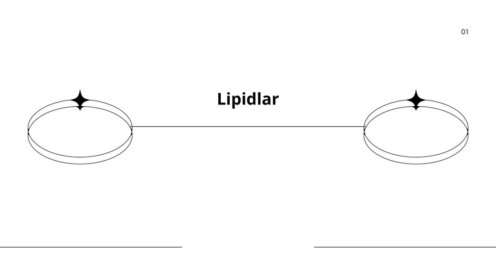 Lipidlar