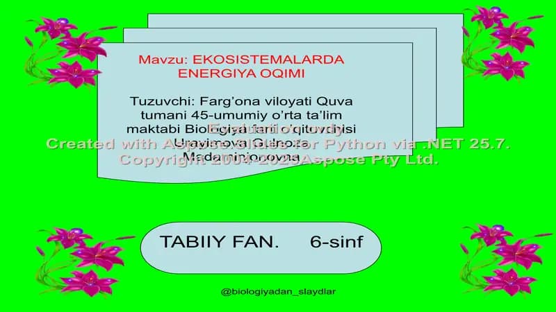 EKOSISTEMALARDA ENERGIYA OQIMI