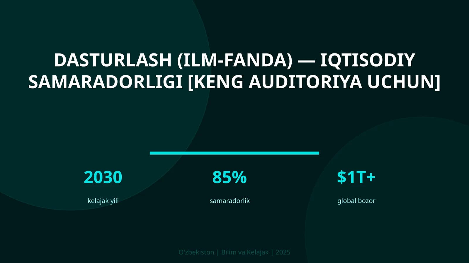 Dasturlash (ilm-fanda) — iqtisodiy samaradorligi [keng auditoriya uchun]