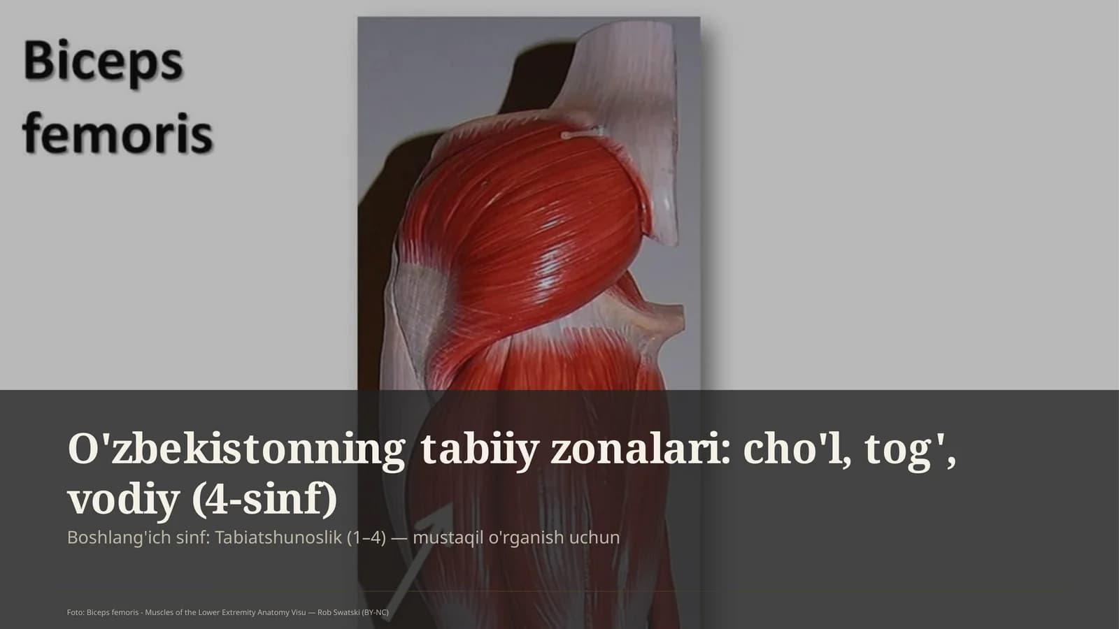 O'zbekistonning tabiiy zonalari: cho'l, tog', vodiy (4-sinf)