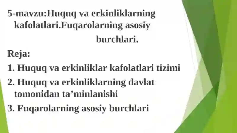 Huquq va erkinliklar kafolatlari
