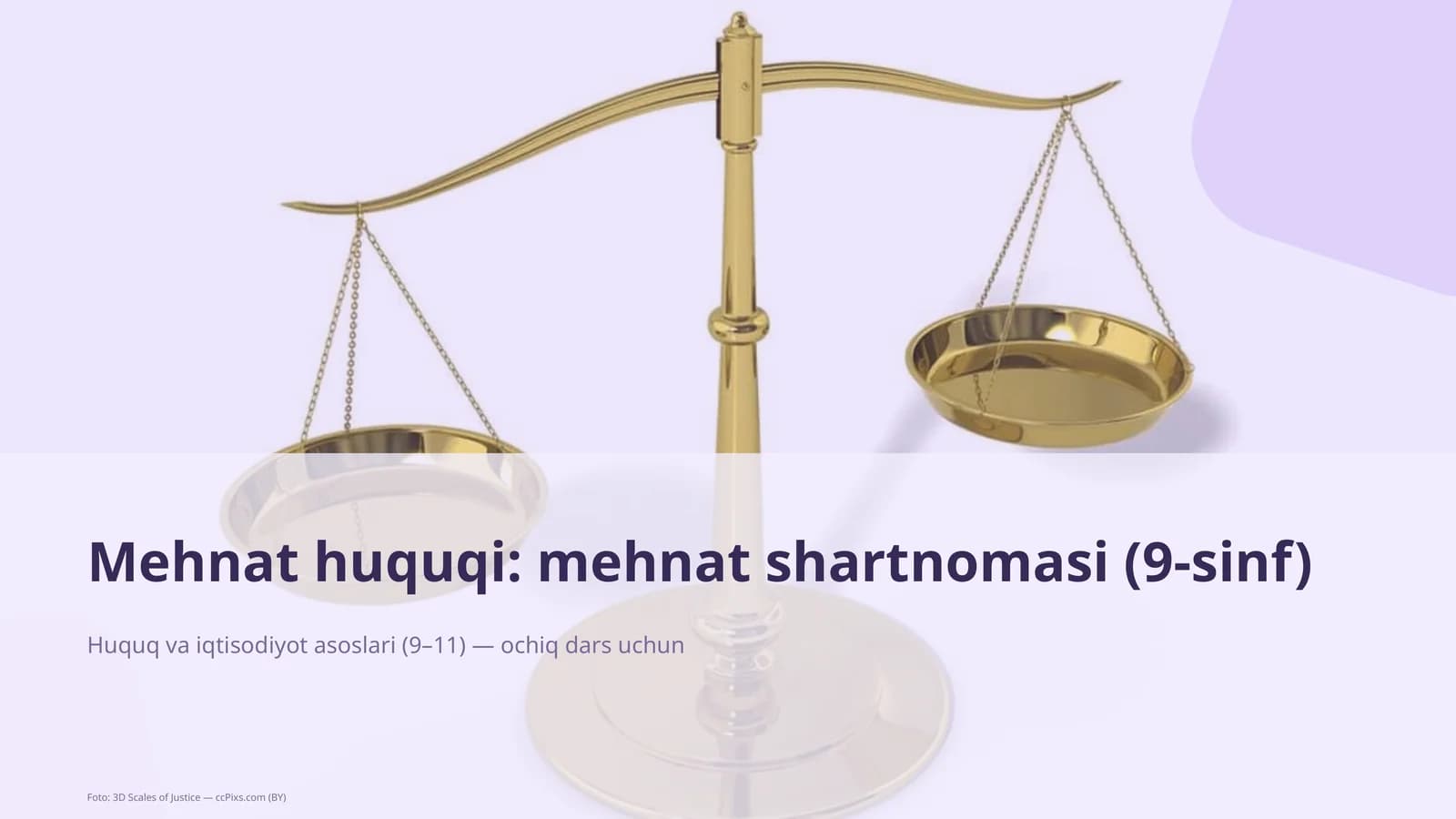 Mehnat huquqi: mehnat shartnomasi (9-sinf)