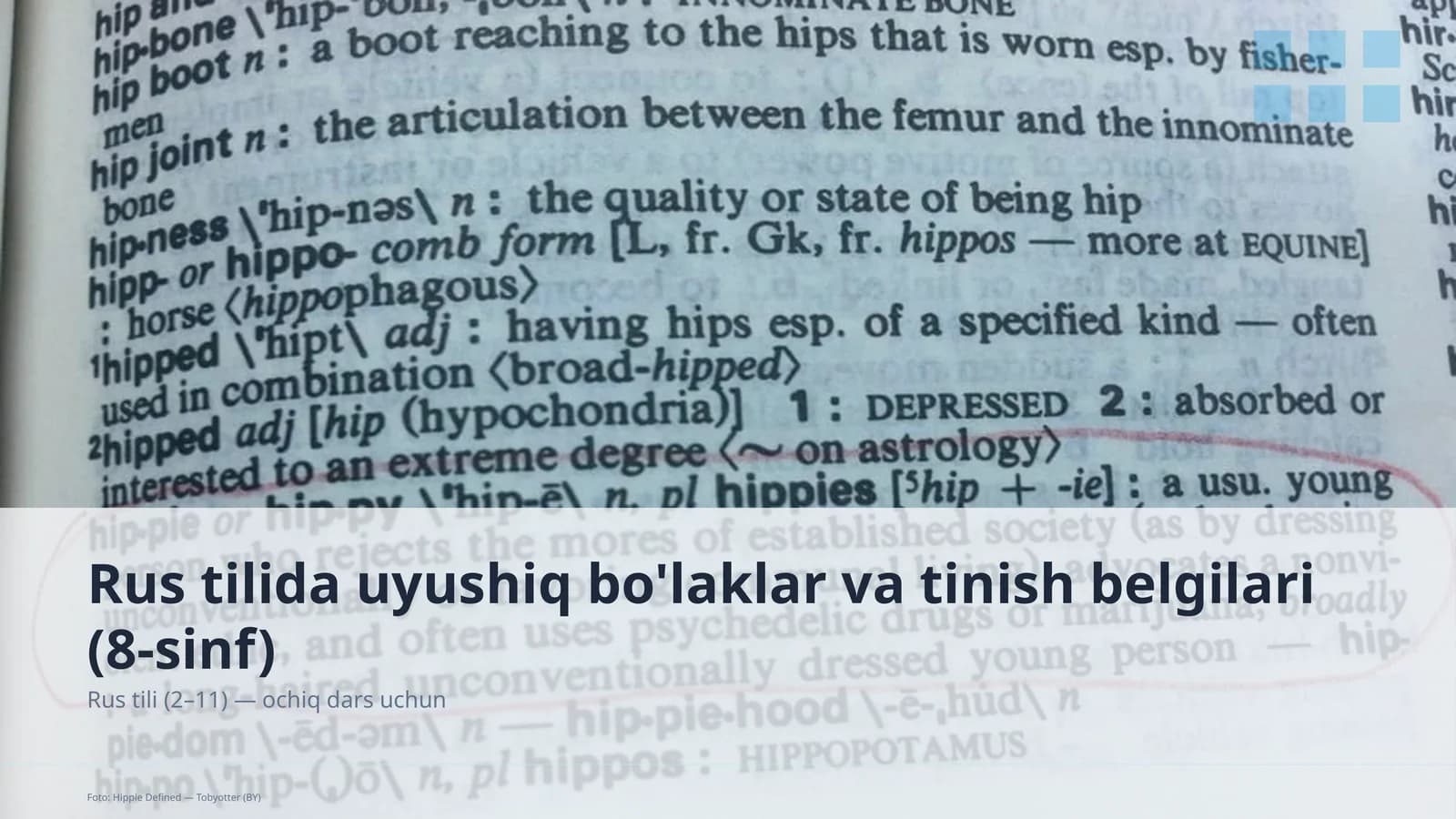 Rus tilida uyushiq bo'laklar va tinish belgilari (8-sinf)
