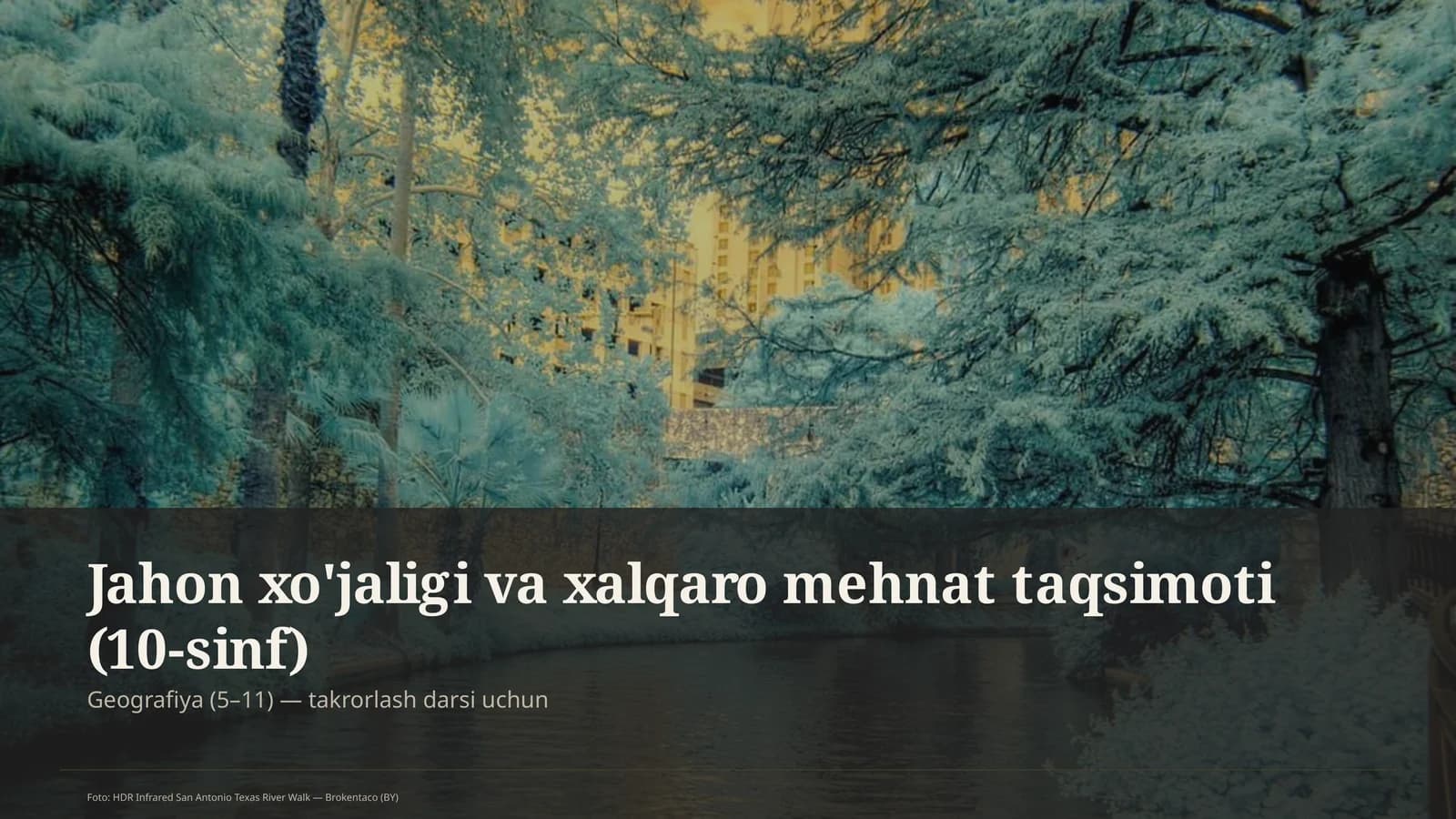Jahon xo'jaligi va xalqaro mehnat taqsimoti (10-sinf)