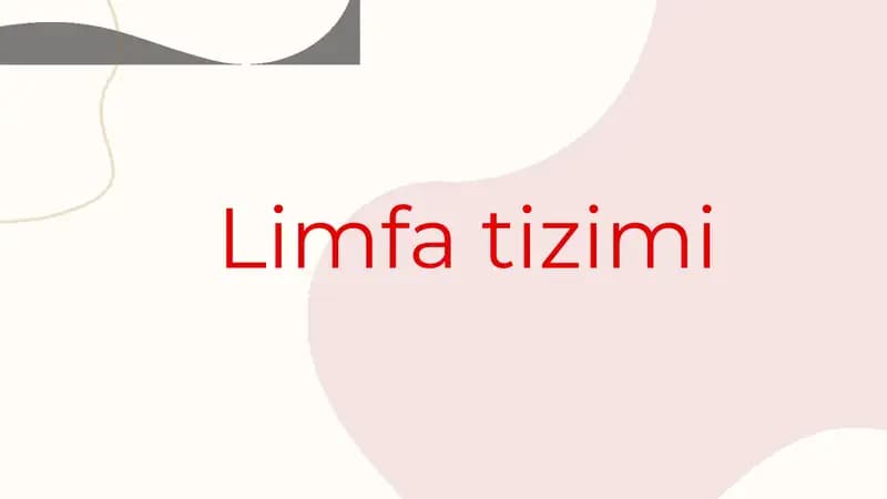 Limfa tizimi