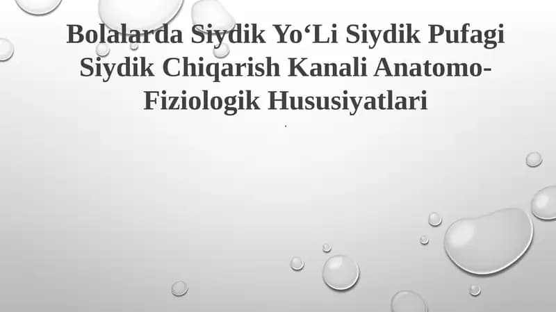 Bolalarda Siydik YoʻLi Siydik Pufagi Siydik Chiqarish Kanali Anatomo-Fiziologik Hususiyatlari