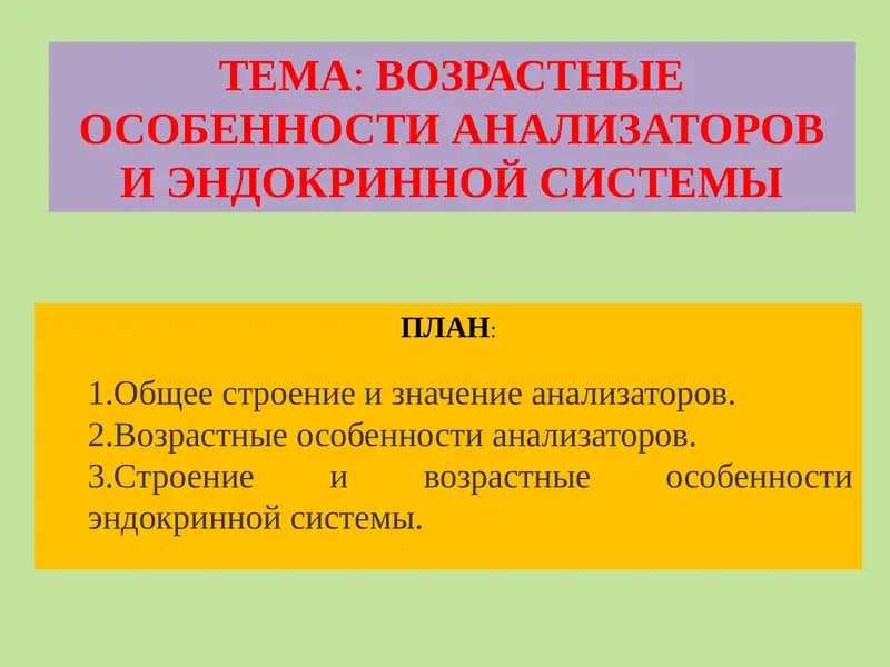ВОЗРАСТНЫЕ ОСОБЕННОСТИ АНАЛИЗАТОРОВ И ЭНДОКРИННОЙ СИСТЕМЫ