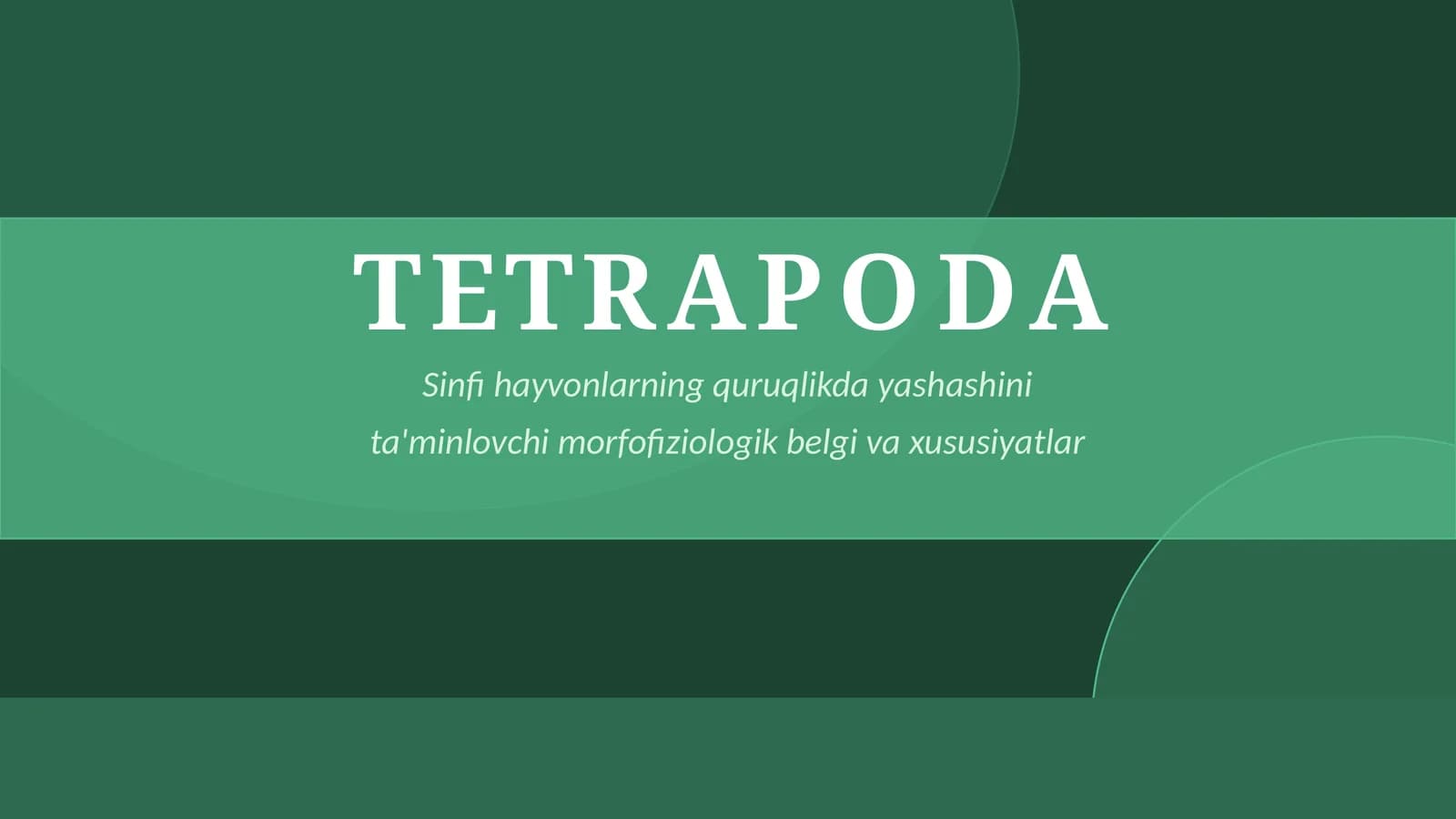 TETRAPODA