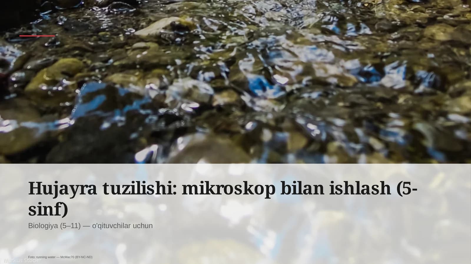 Hujayra tuzilishi: mikroskop bilan ishlash (5-sinf)