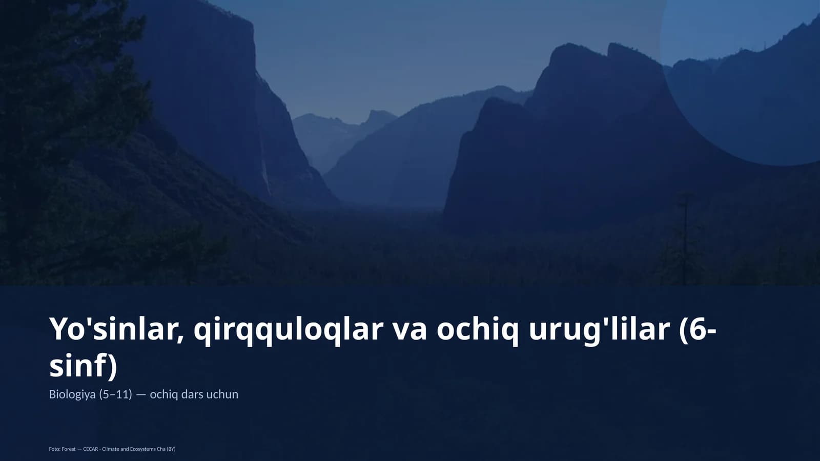 Yo'sinlar, qirqquloqlar va ochiq urug'lilar (6-sinf)