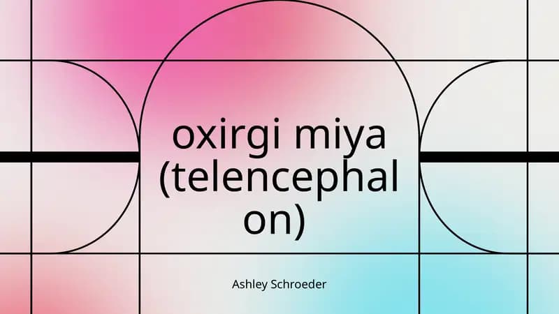 Oxirgimiya (telencephalon)