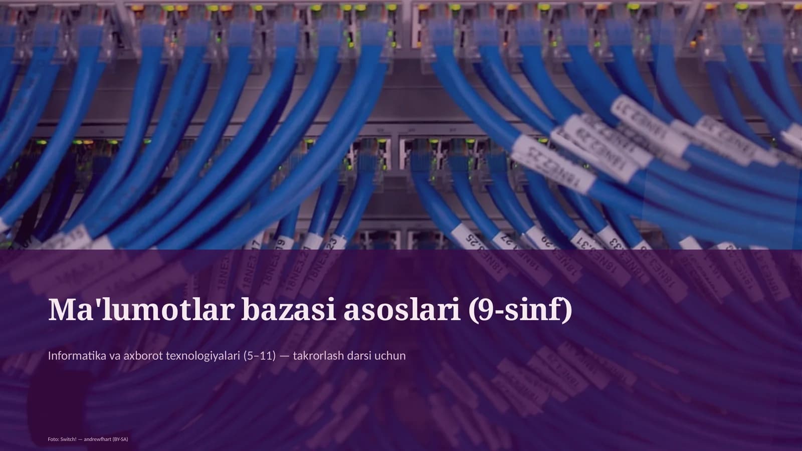 Ma'lumotlar bazasi asoslari (9-sinf)