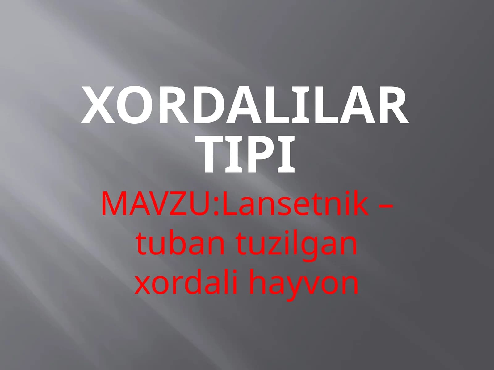 Xordalilartipi