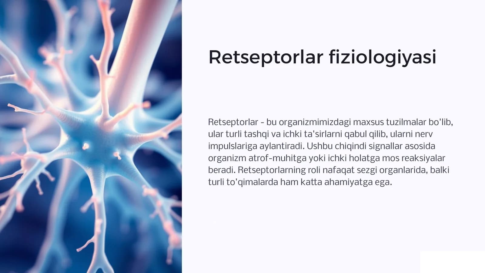 Retseptorlar fiziologiyasi