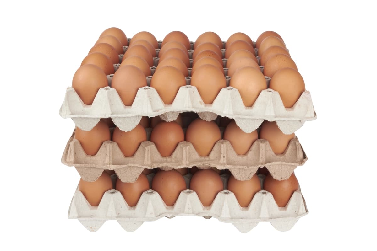 Jigarrang tuxumlarni karton tovoqlar ustiga qo'ying | Stack brown eggs cardboard trays