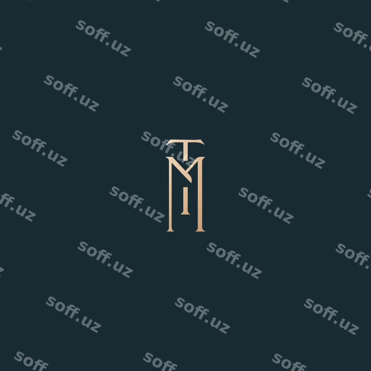 TM logotipi vektor rasmi | Tm logo design vector image