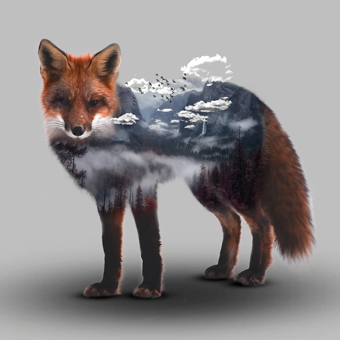 Double-Exposure effect poster