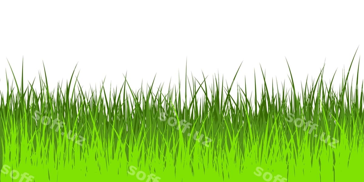 Vektor illustratsiyasi yashil o't | Vector illustration green grass