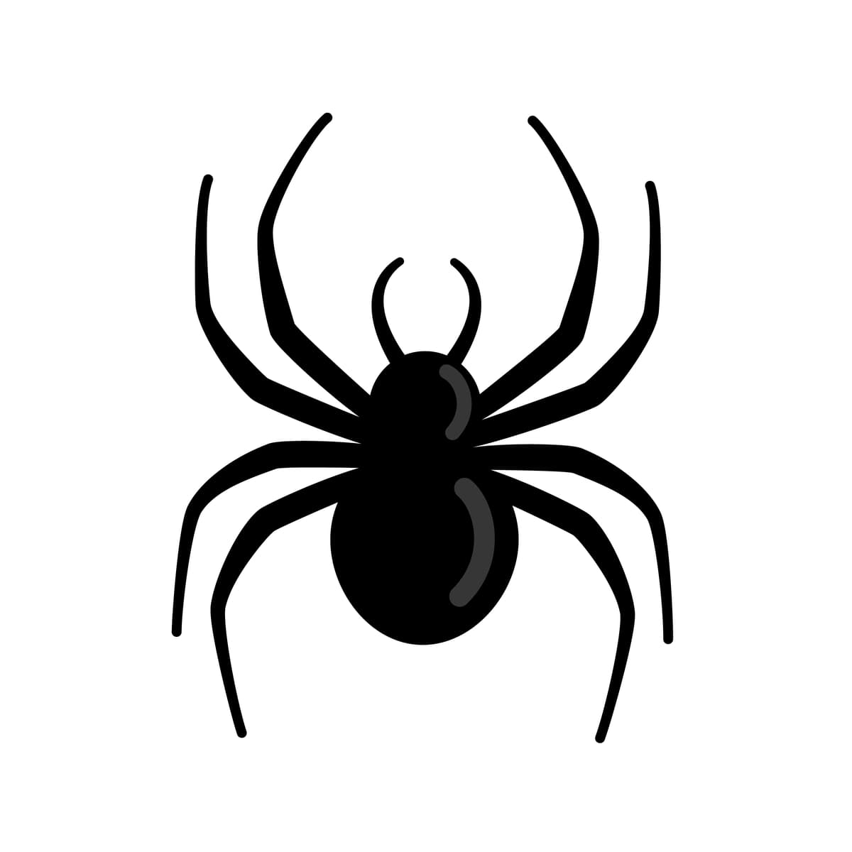 O'rgimchak silueti izolyatsiya qilingan oq fonda qo'rqinchli uzun oyoqlari bilan | Spider silhouette isolated white background scary with long legs