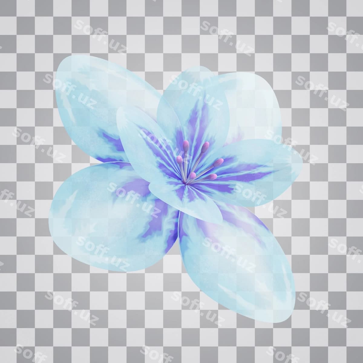 Violet gul alpha foni | Violet flower alpha background