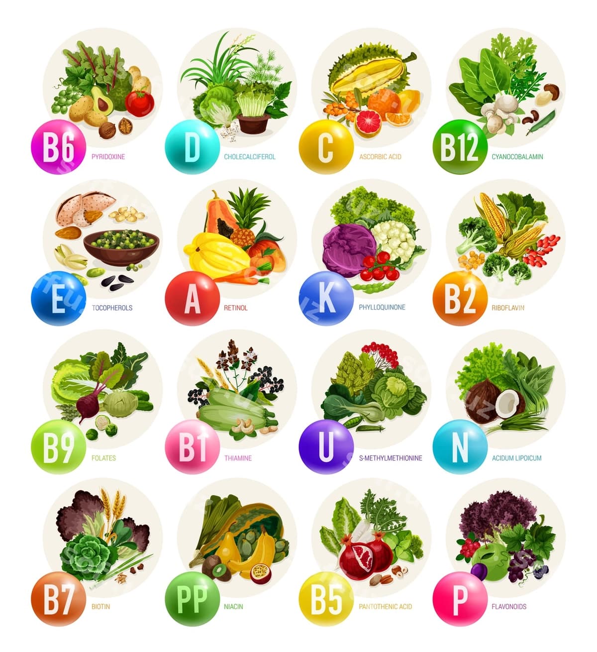 Vitaminlar meva shirin qozonlar daraxtlar | Vitamins fruits nuts vegetables