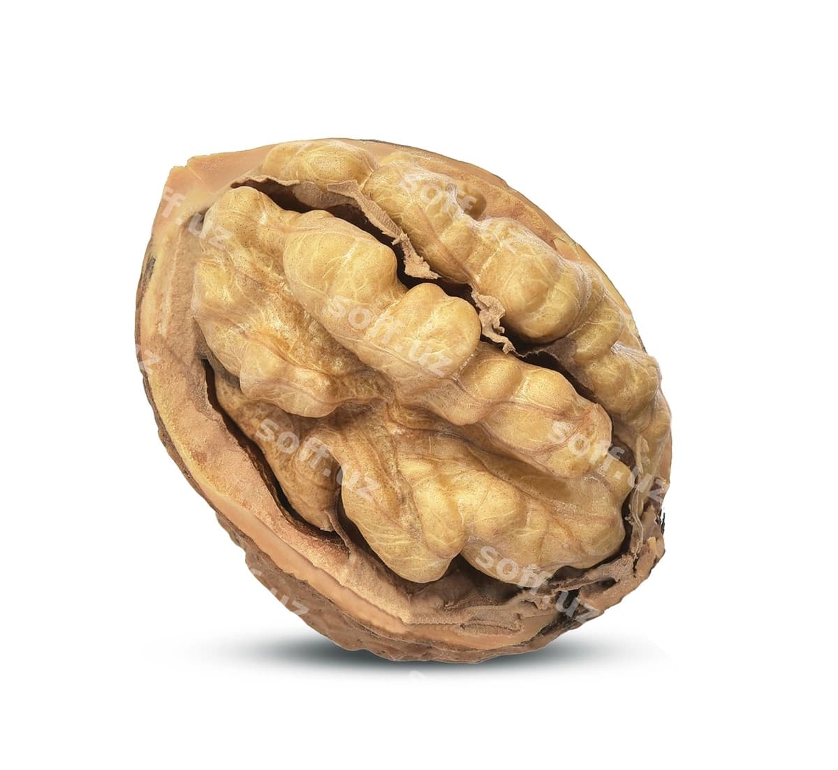 Urug'chalar oq orqa fonda | Walnuts kernels white background