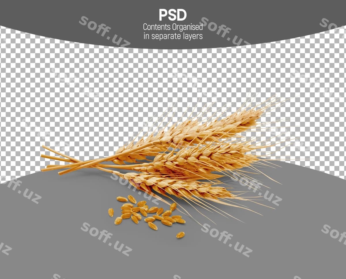 Buğum shaffof fonda ajraltirilgan | Wheat isolated transparent background
