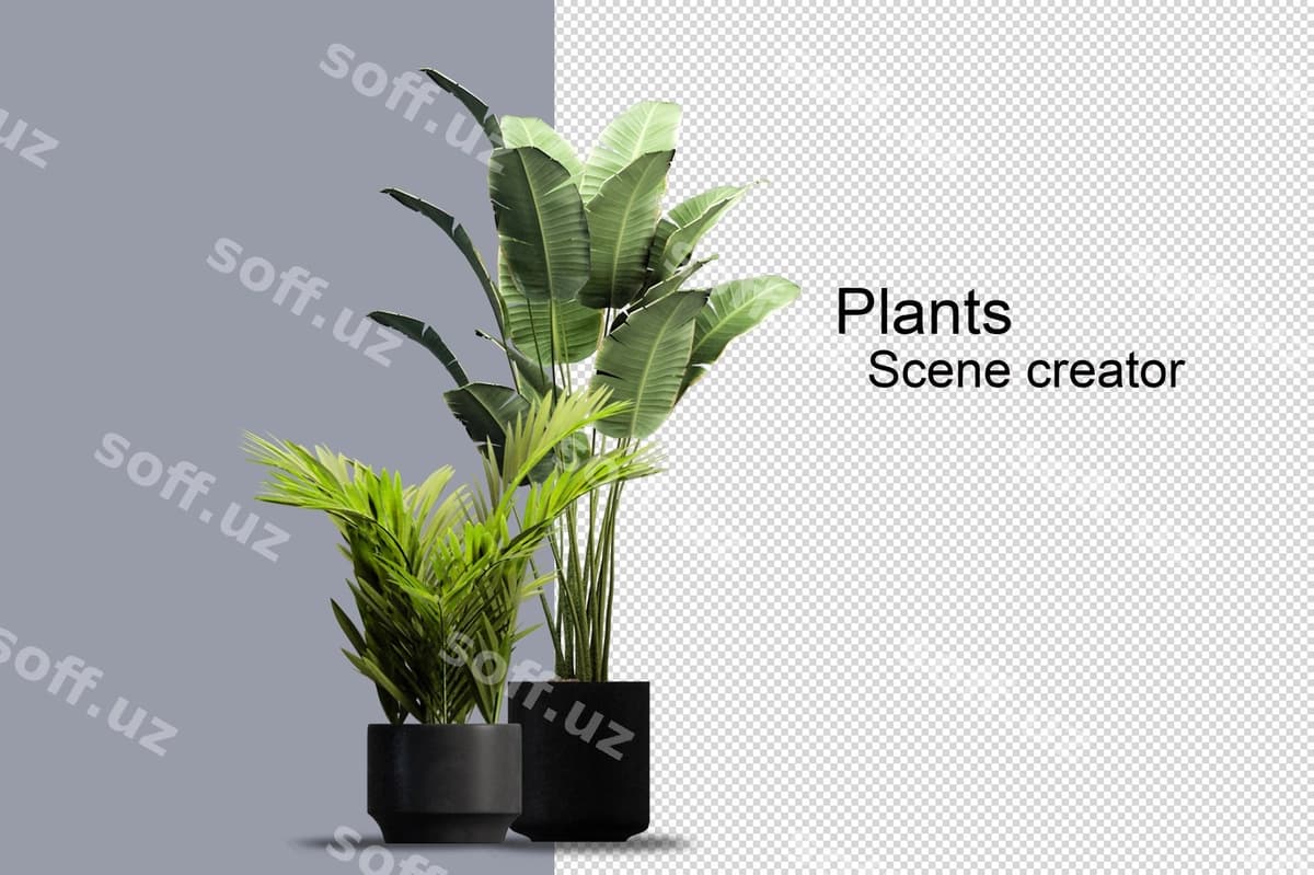 Keng turli daraxtlar va chuqurlar namoyishi | Wide variety trees shrubs rendering