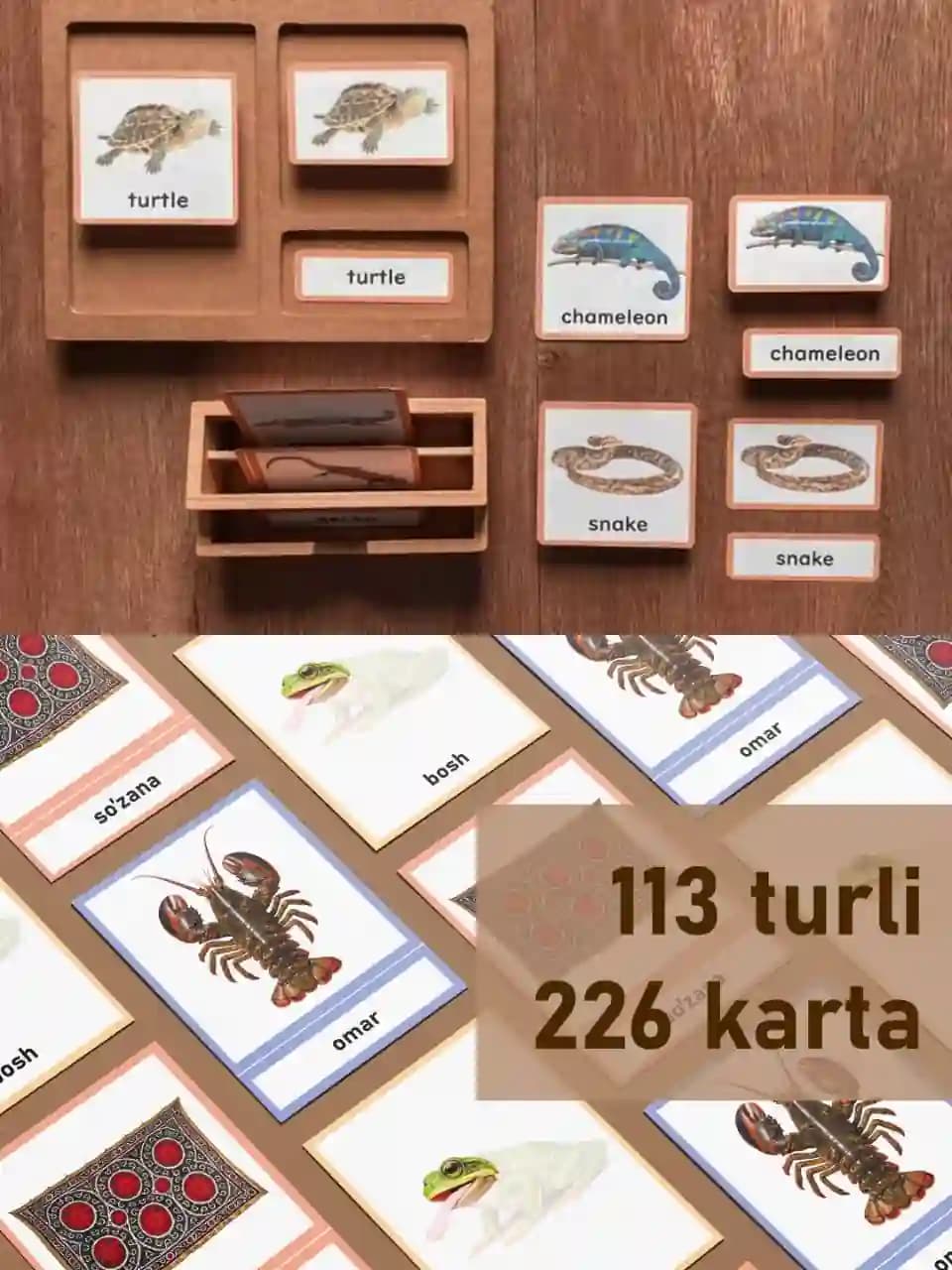 Montessori nomenklatura kartochkalari