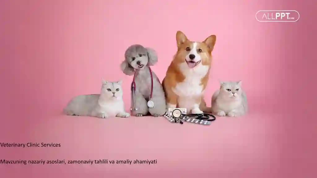 Veterinary Clinic Services Taqdimoti (48 Slayd)