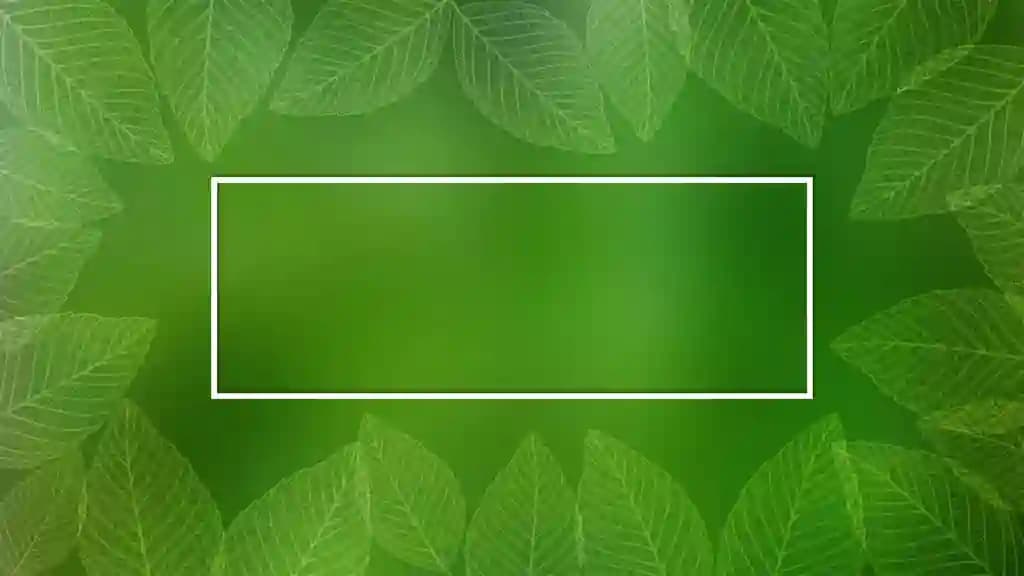Transparent Skeletal Leaves Taqdimoti (48 Slayd)