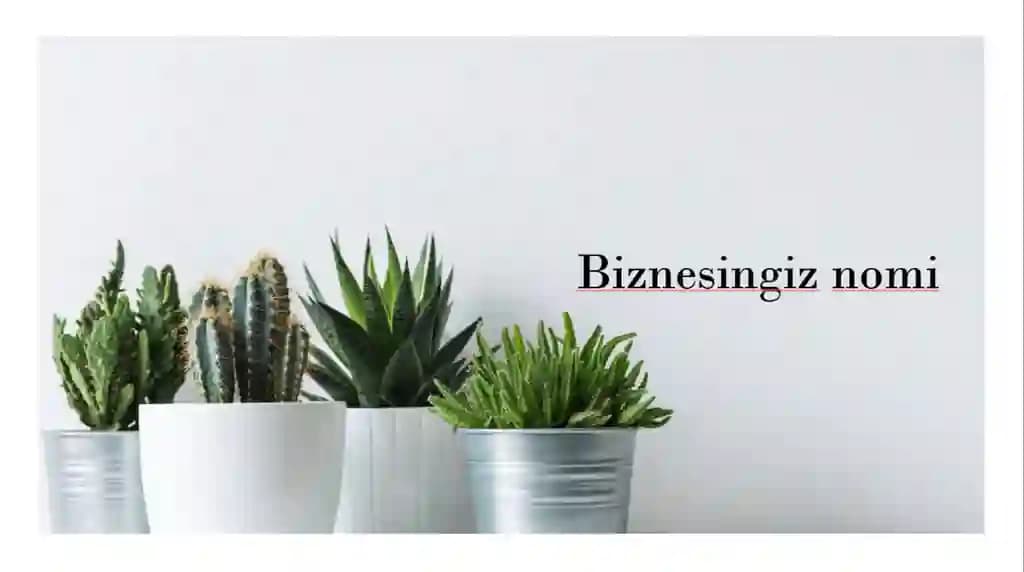 Biznes taqdimot prezentatsiya