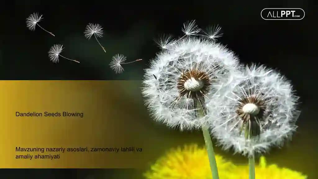Dandelion Seeds Blowing Taqdimoti (48 Slayd)
