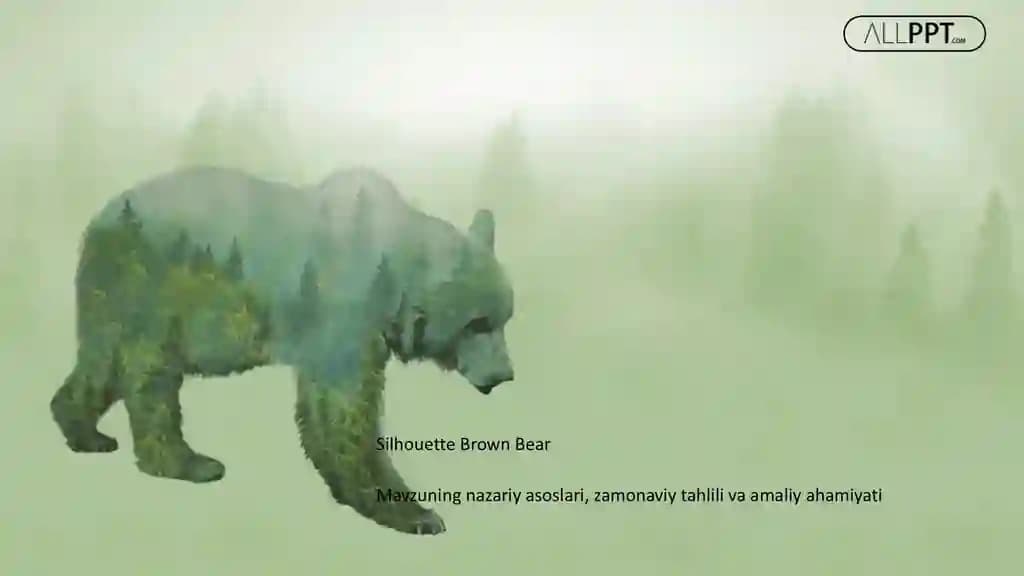 Silhouette Brown Bear Taqdimoti (48 Slayd)