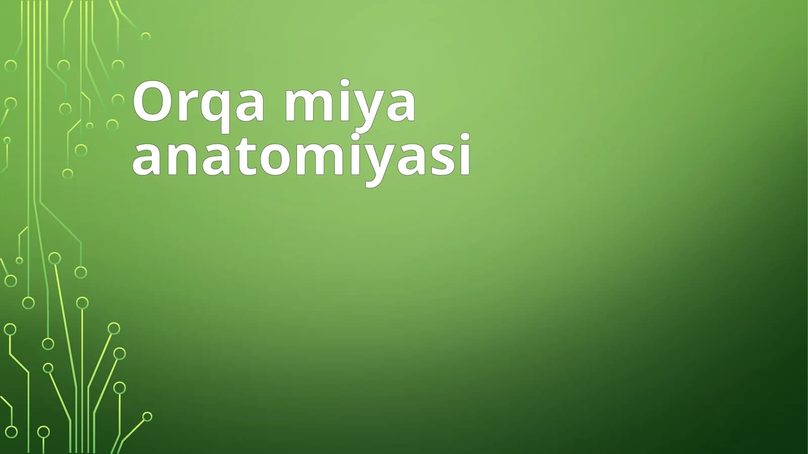 Orqa miya anatomiyasi