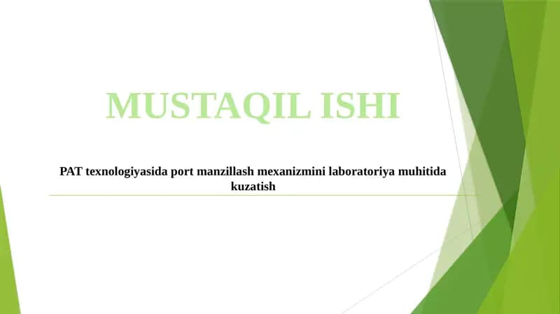 PAT texnologiyasida port manzillash mexanizmini laboratoriya muhitida kuzatish