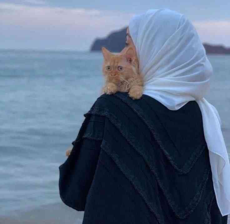 MADINA 258995