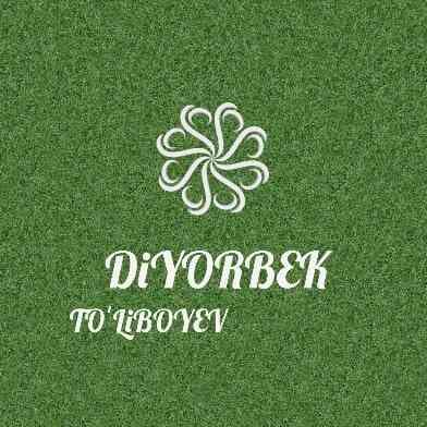 DiYORBEK TOʻLIBOYEV