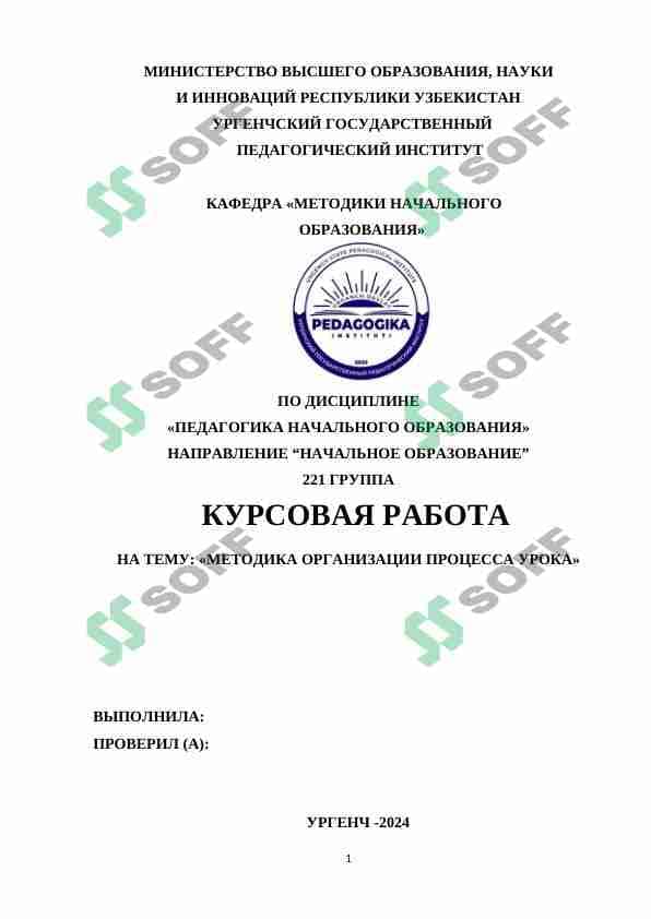 МЕТОДИКА ОРГАНИЗАЦИИ ПРОЦЕССА УРОКА