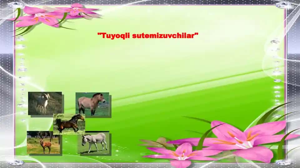 Tuyoqli sutemizuvchilar