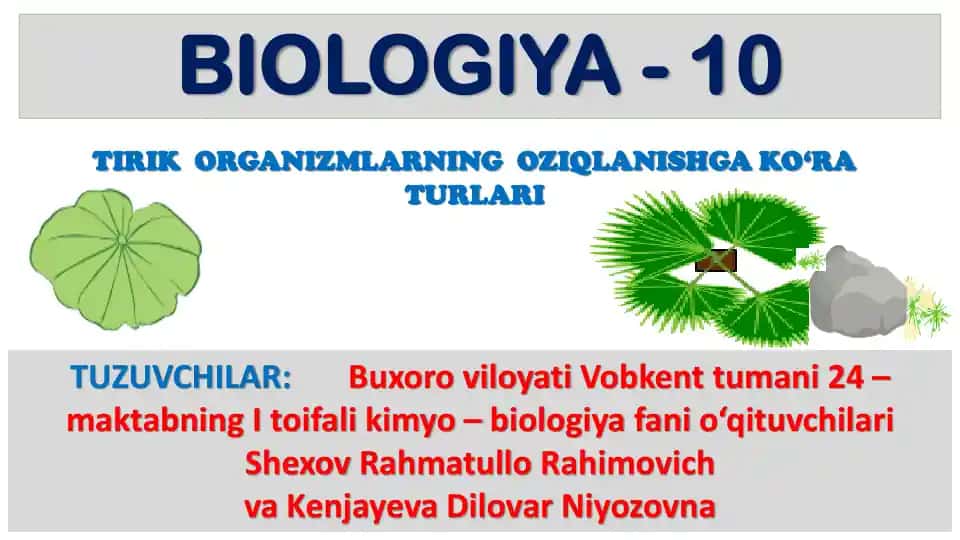 Tirik organizmlarning oziqlanishga ko‘ra turlari
