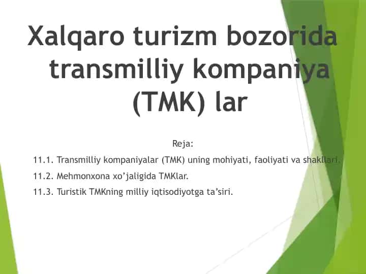 Xalqaro turizm bozorida transmilliy kompaniyalar