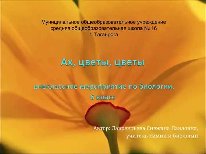 Малая цитата Г.Х. Андерсена