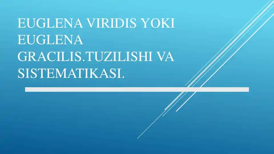 Euglena viridis yoki Euglena gracilis. Tuzilishi va sistematisasi.