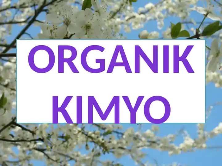 Organik kimyo