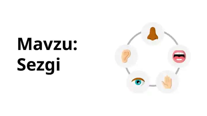Sezgi